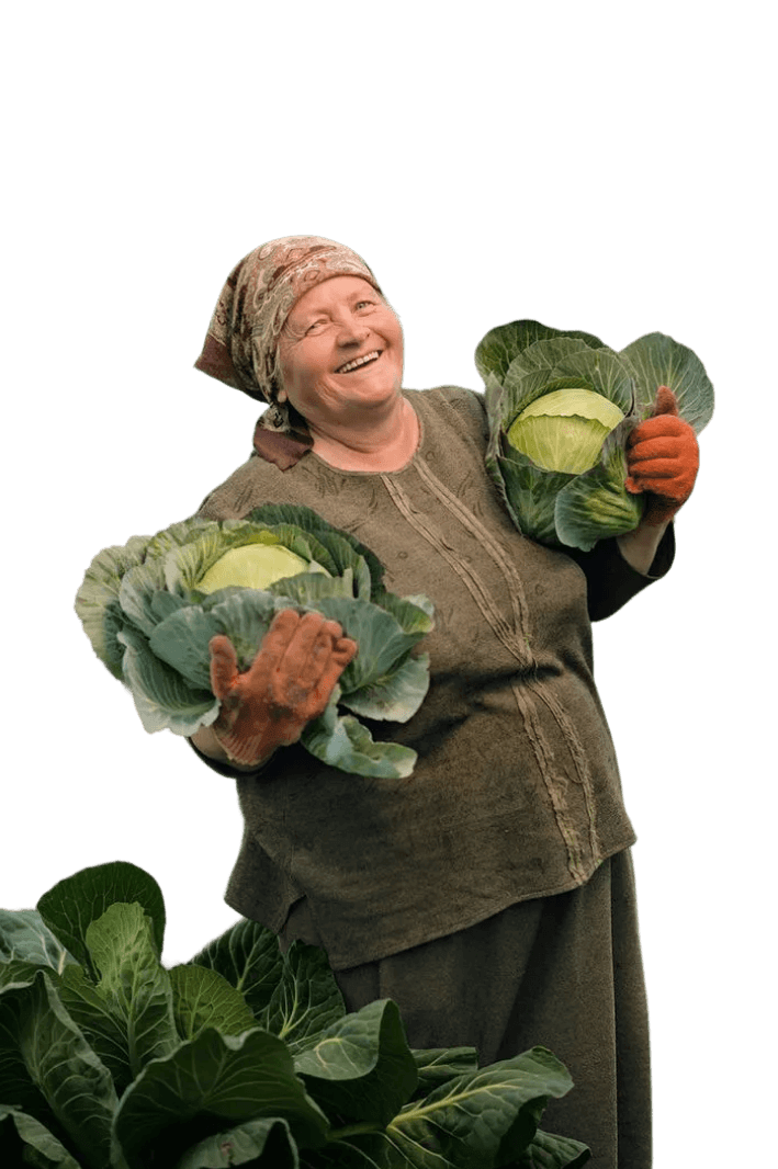 Smiling woman in headscarf holding two large cabbages with leafy greens in foreground.