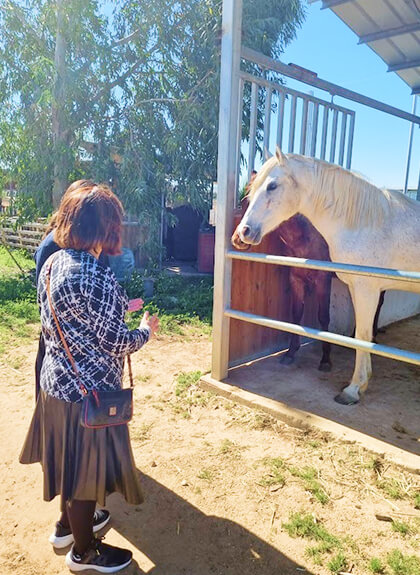 Two people standing near a horse stable, one holding a flower, facing two horses inside.
