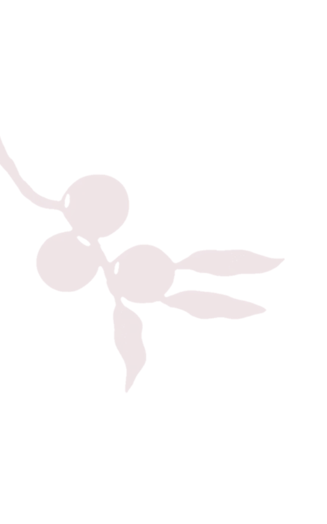 Simple maroon silhouette of three connected berries with three elongated leaves on a stem.