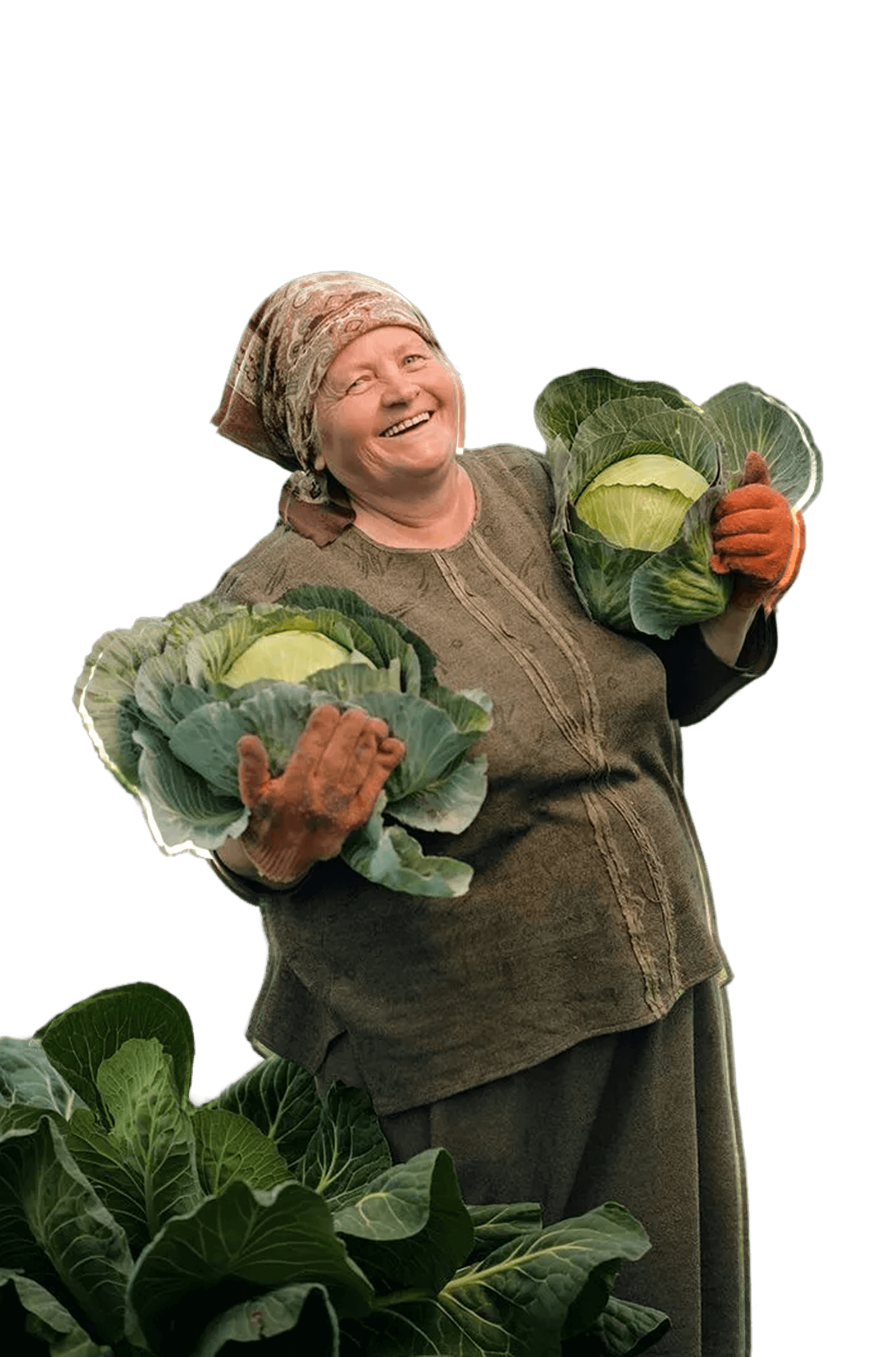 Smiling woman wearing headscarf and gloves holding two large cabbages in a garden.