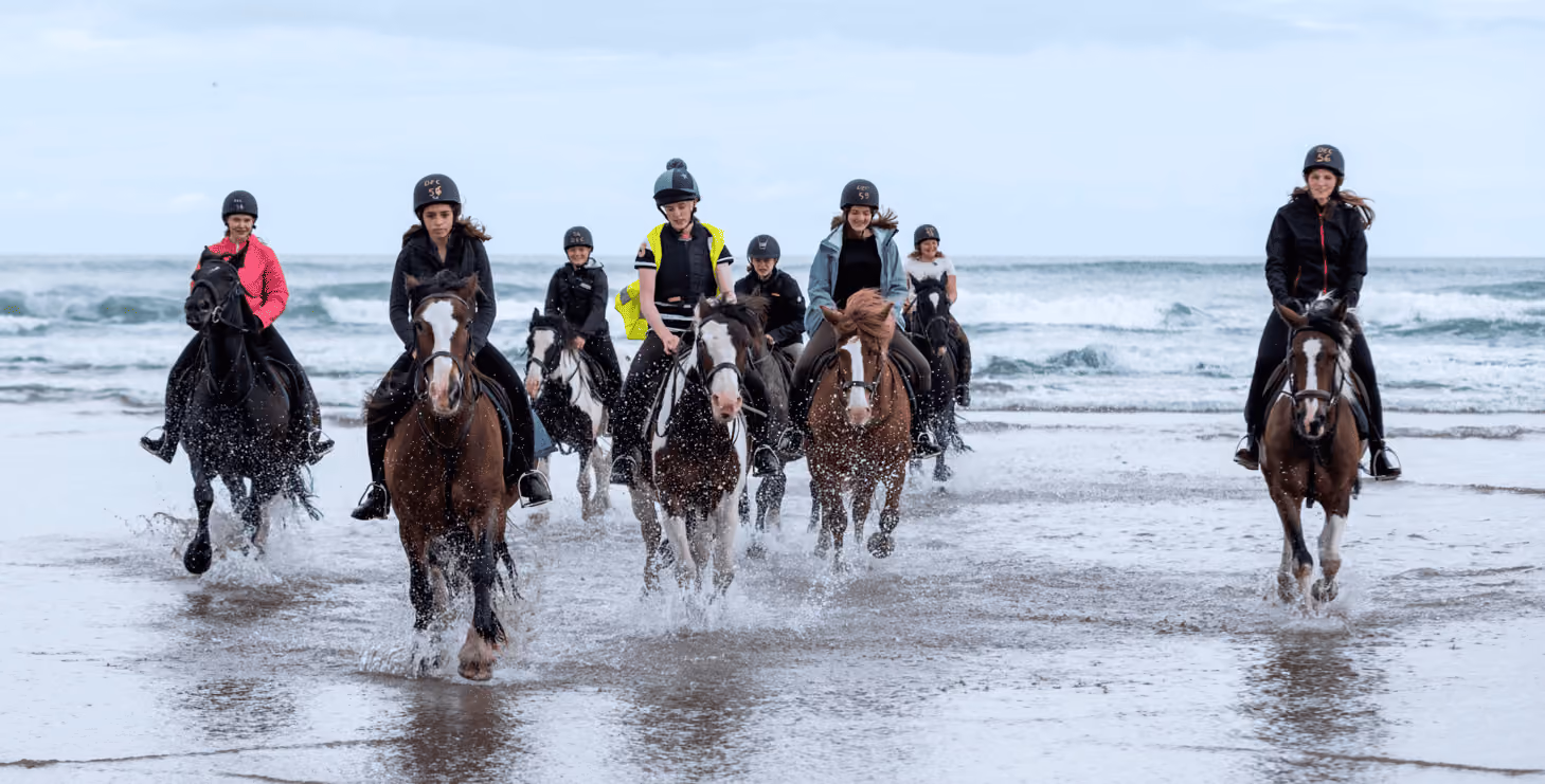Eine Gruppe von sieben Personen reitet auf Pferden am Strand entlang, während Wasser spritzt.