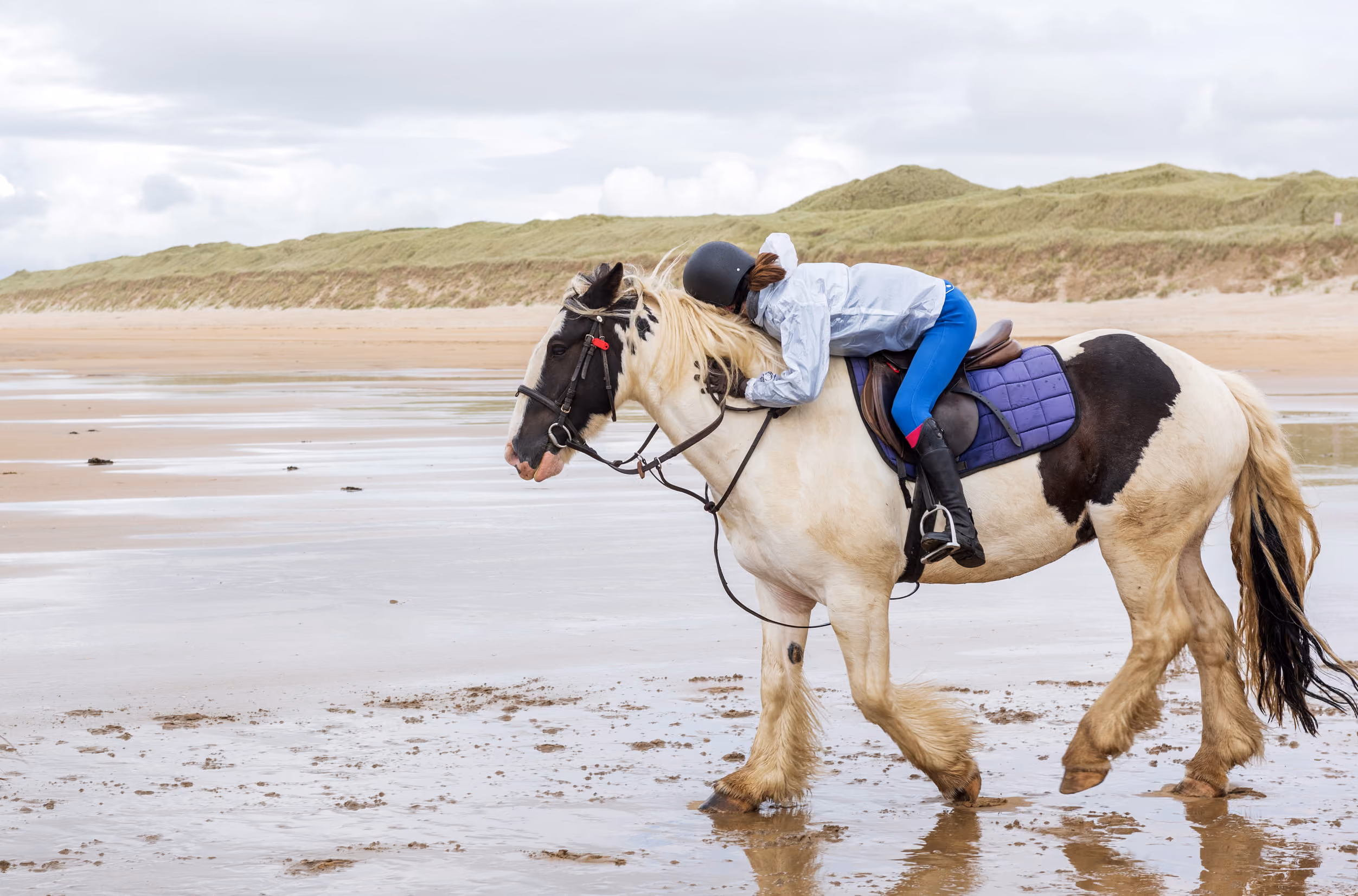 Reiter lehnt sich auf einem schwarz-weißen Pferd am Strand mit feuchtem Sand und grasbewachsenen Dünen im Hintergrund.