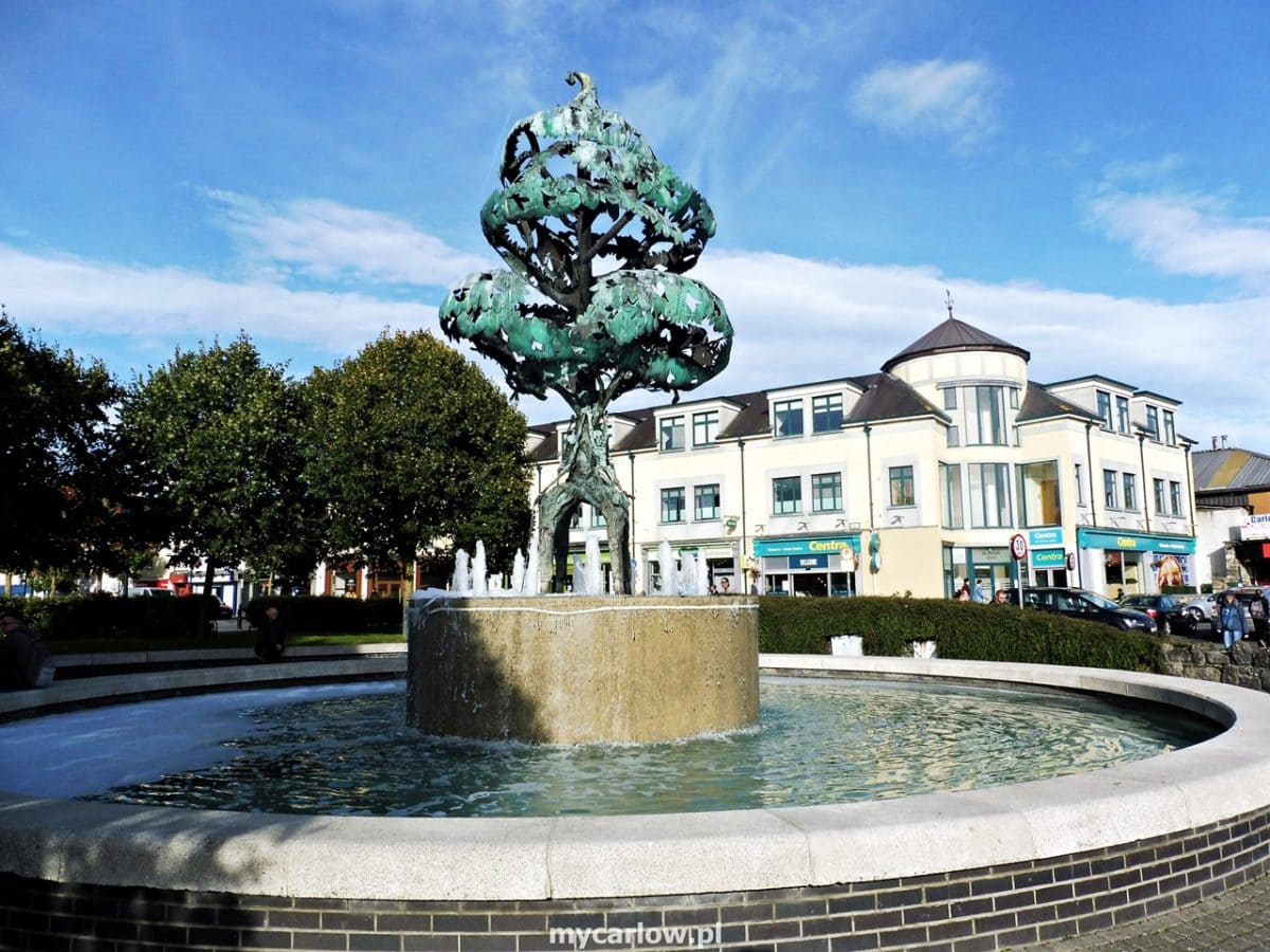 Member Image