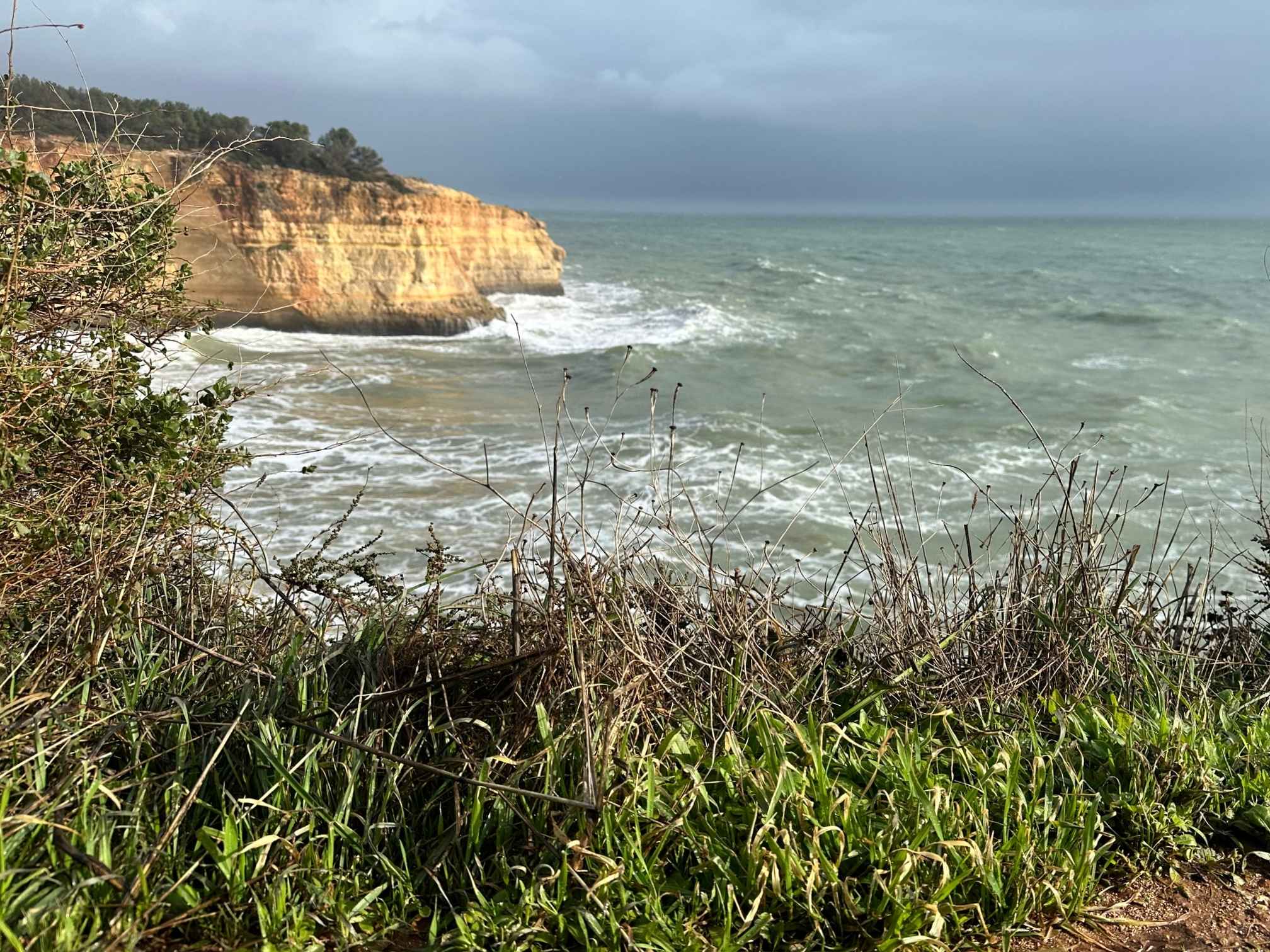 image of ceremony preparation (for a buddhist monasteries & temple)