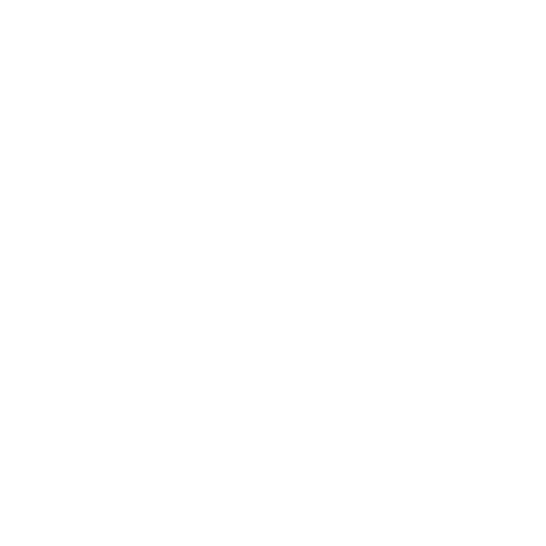 White bullseye target with three concentric circles on transparent background.
