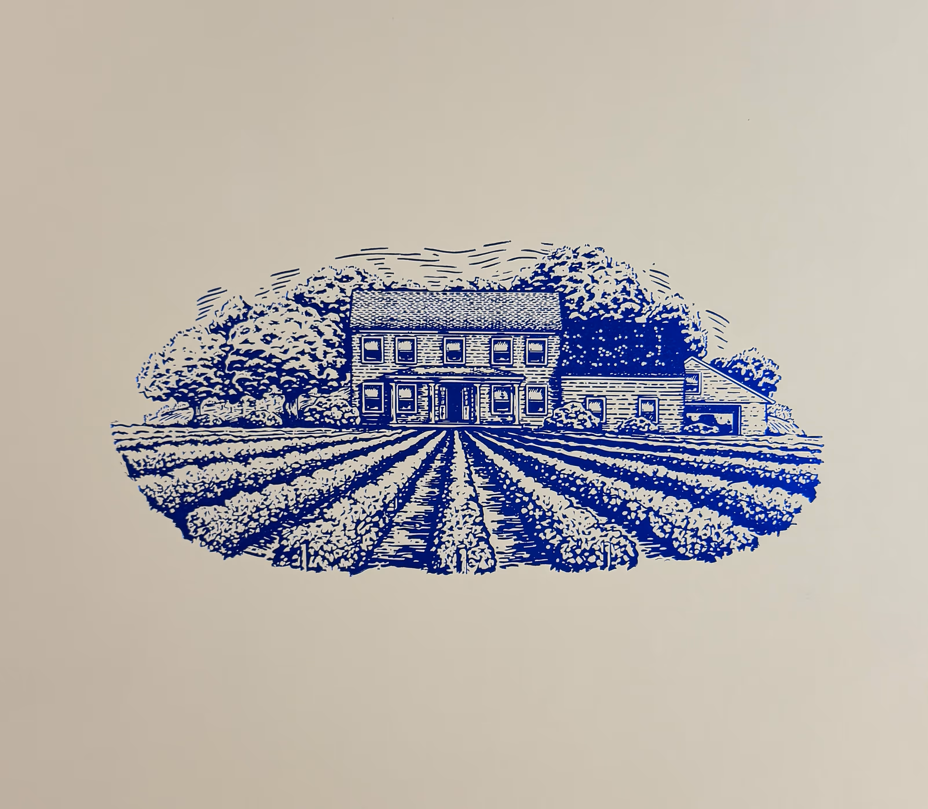 Closeup of the blue foil OnBoardBox vineyard sketch on the front of the box.