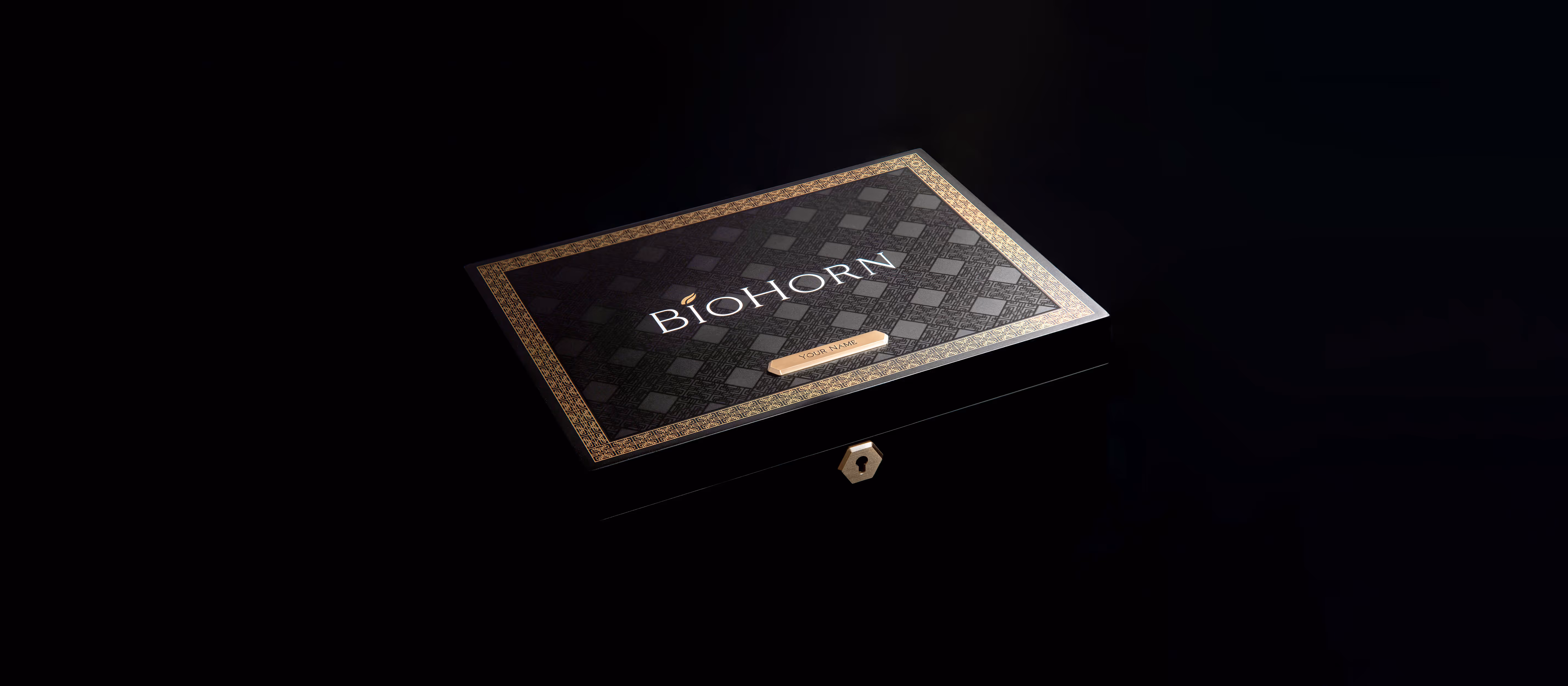 A luxurious BioHorn wooden display box emerges from the dark.