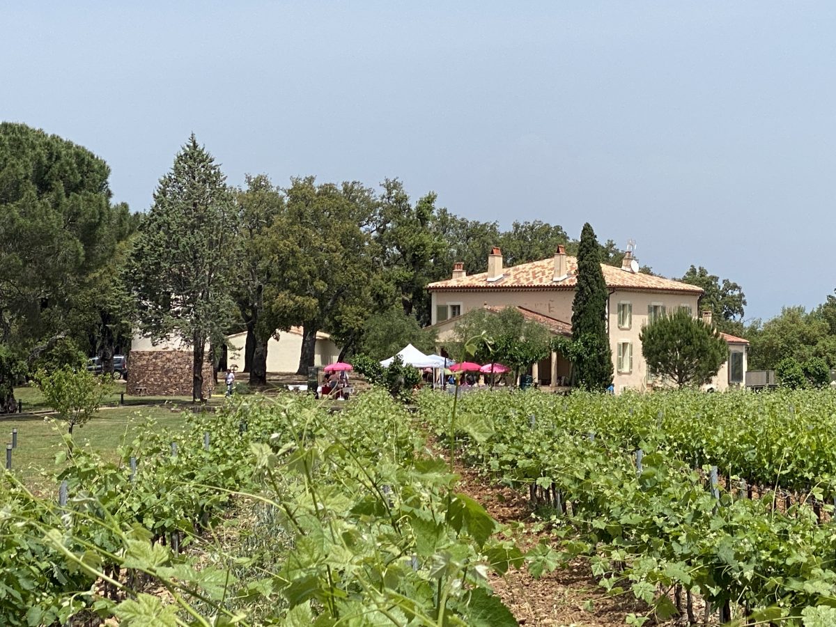 Installation de cabines en bois de toilettes sèches dans les vignes