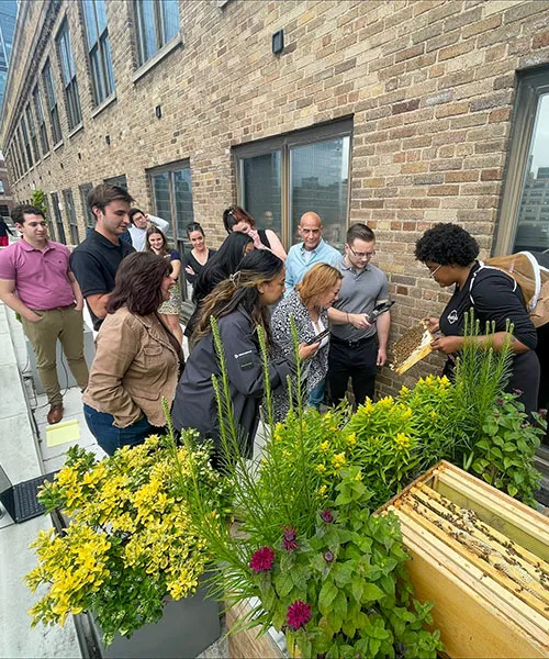 biodiversity conservation