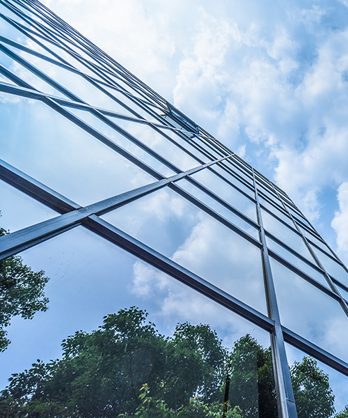 conservation de la biodiversité