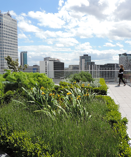 conservation de la biodiversité