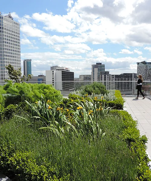 biodiversity conservation