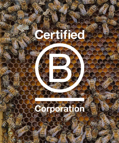 advantages of doing business with a B Corp