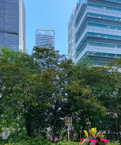 abeilles pour bâtiments commerciaux