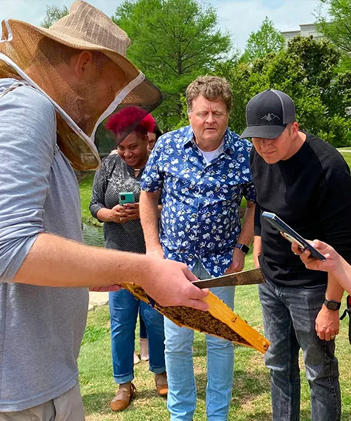 A group of people watch and take photos as a beekeeper removes frames of honey bees from a hive during an educational workshop.