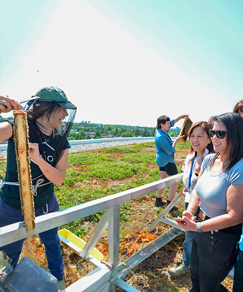 An Alvéole beekeeper shows off a frame of honey bees to clients on a rooftop.biophilic design