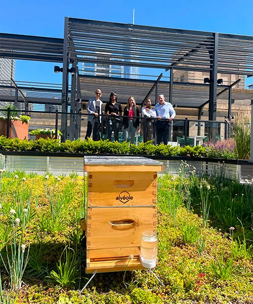 5 people in corporate dress stand on a terrace observing their Alvéole beehive. biophilic design