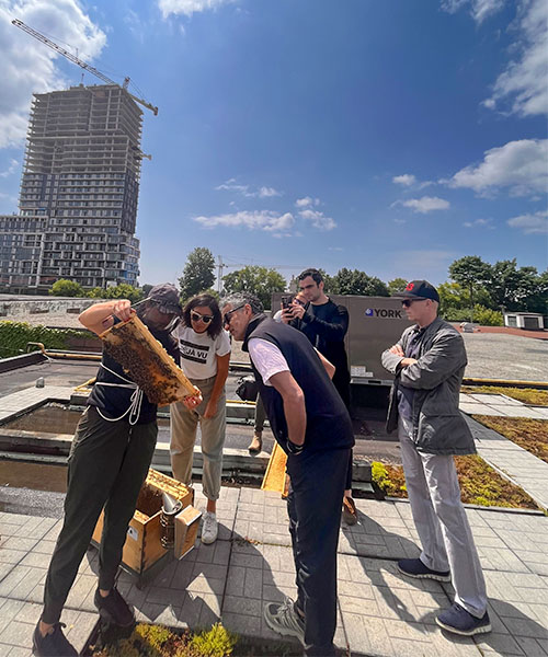 An Alvéole beekeeper shows off a frame of honey bees to a group of people on a rooftop.