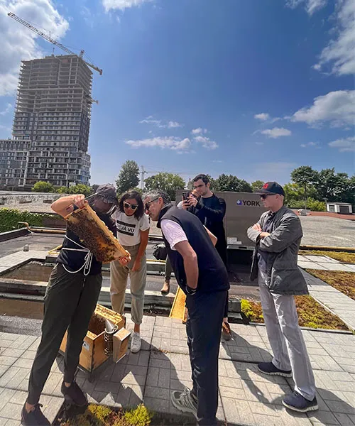 Une apicultrice d'Alvéole montre un cadre d'abeilles à un groupe de personnes sur un toit. avantages de l'apiculture urbaine