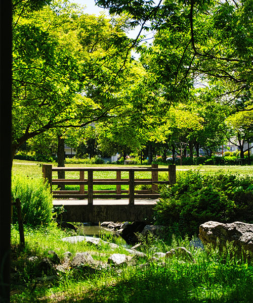 Un pont en bois traversant un petit ruisseau dans un parc rempli de plantes et d'arbres verdoyants.