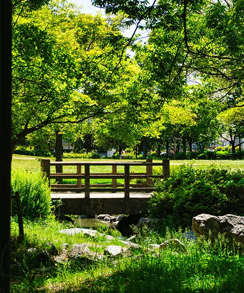 Un pont en bois traversant un petit ruisseau dans un parc rempli de plantes et d'arbres verdoyants.