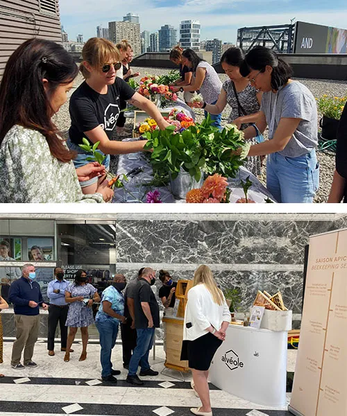 Top photo: a group of people participate in a flower arranging workshop. Bottom photo: a group of people interact with a beekeeper at an information kiosk. engage tenants with nature