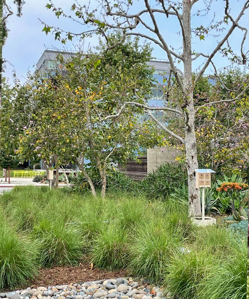 Un hôtel à insectes au milieu d'un jardin urbain d'une propriété. avantages des jardins urbains