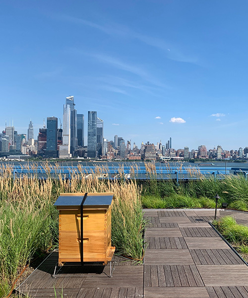 A beehive on a rooftop in New York. green building certification