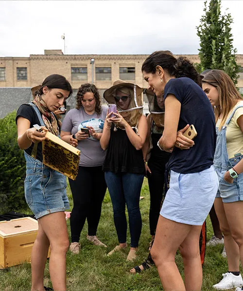 Alvéole beekeeper shows a frame of honey bees to a group of people during a workshop. benefits of green building certifications