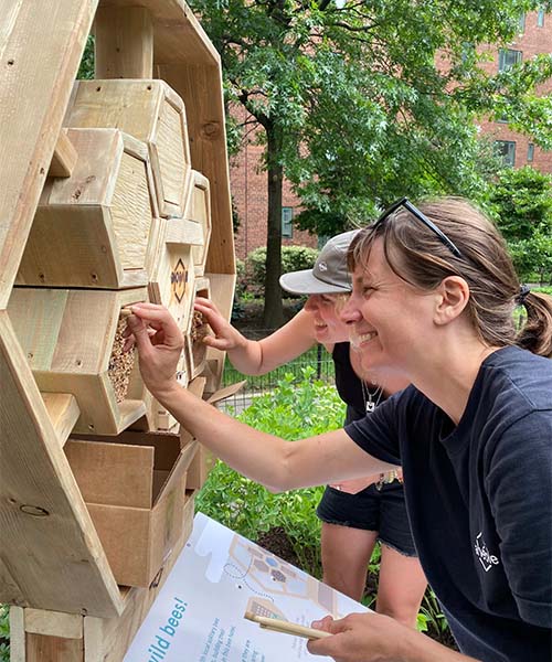 Deux personnes regardent les tubes de nidification d'un hôtel à abeilles. importance des pollinisateurs
