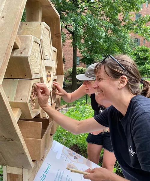 Deux personnes regardent les tubes de nidification d'un hôtel à abeilles. importance des pollinisateurs