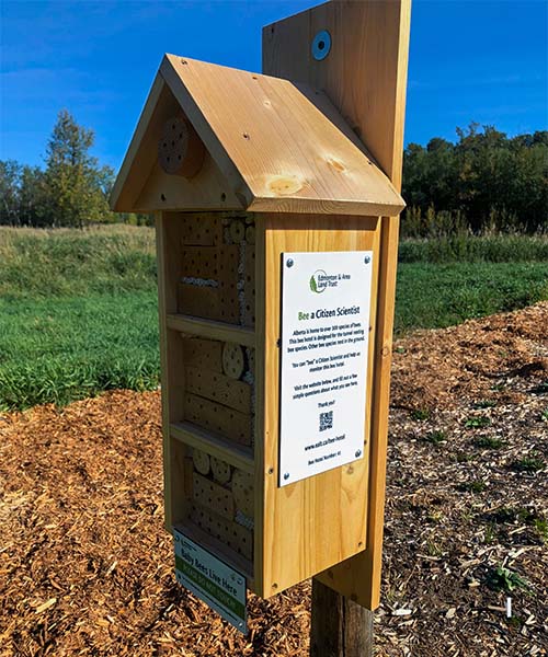 A bee hotel with an informational plaque on the side. protecting pollinators