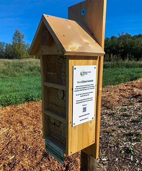 A bee hotel. protéger les pollinisateurs