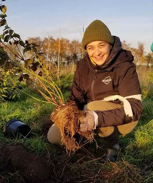 A person working in a garden
