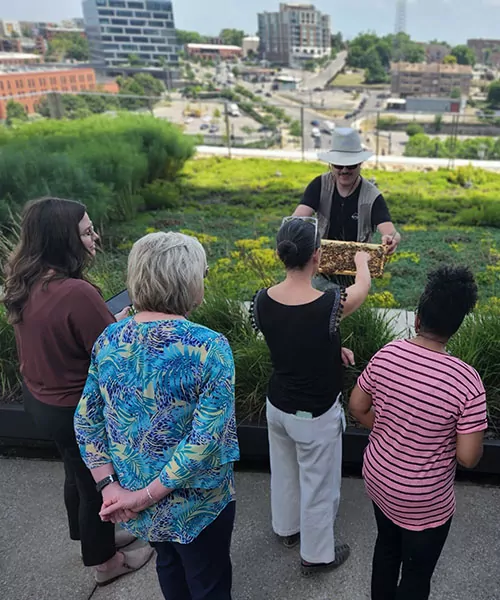 Alvéole beekeeper shows a frame of honey bees to a group of people during a workshop