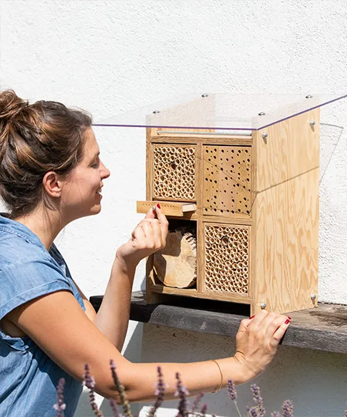 Hôtel pour insectes. avenir de l'apiculture urbaine