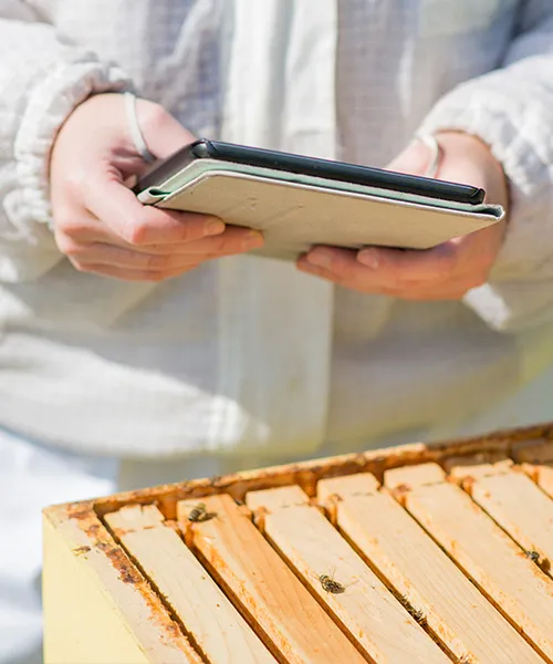 A researcher observes a beehive, making notes on a tablet. urban beekeeping technology