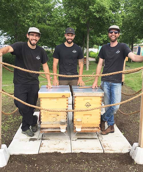 3 beekeepers stand around two Alvéole beehives in a park. urban agriculture