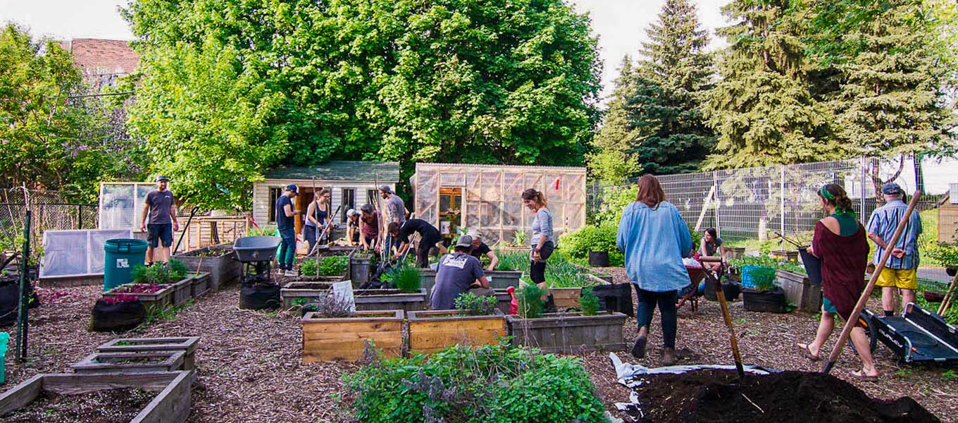 Montreal urban community garden by Sentier Urbain. urban gardening