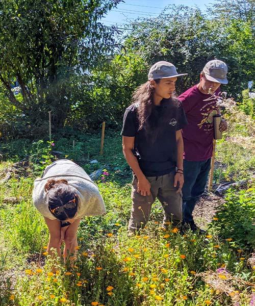 L'équipe d'Alvéole visitant l'un des jardins de pollinisateurs de l'EYA. programmes jeunesse durables