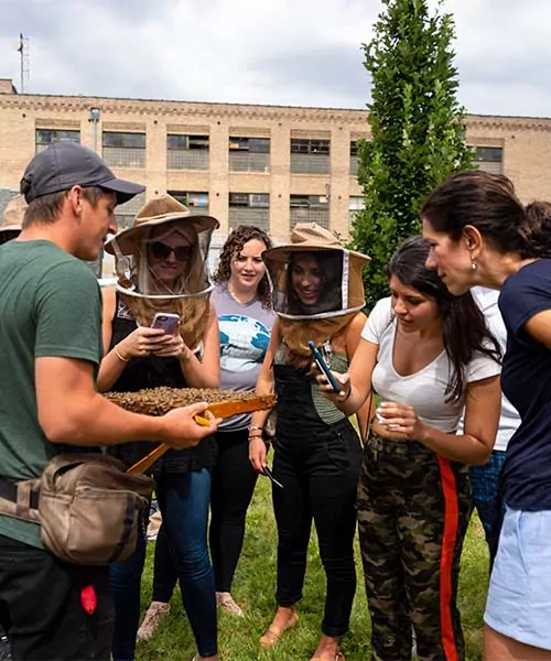 Alvéole beekeeper shows a frame of honey bees to a group of people during a workshop. Some people take photos on cell phones. save the bees