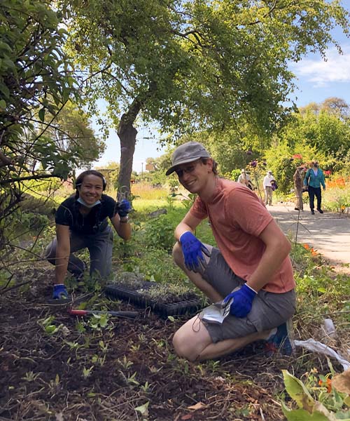 Pollinator Posse and Alvéole working in their pollinator-friendly yard. pollinator-friendly gardens