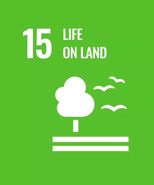 17 Sustainable Development Goals (SDGs)