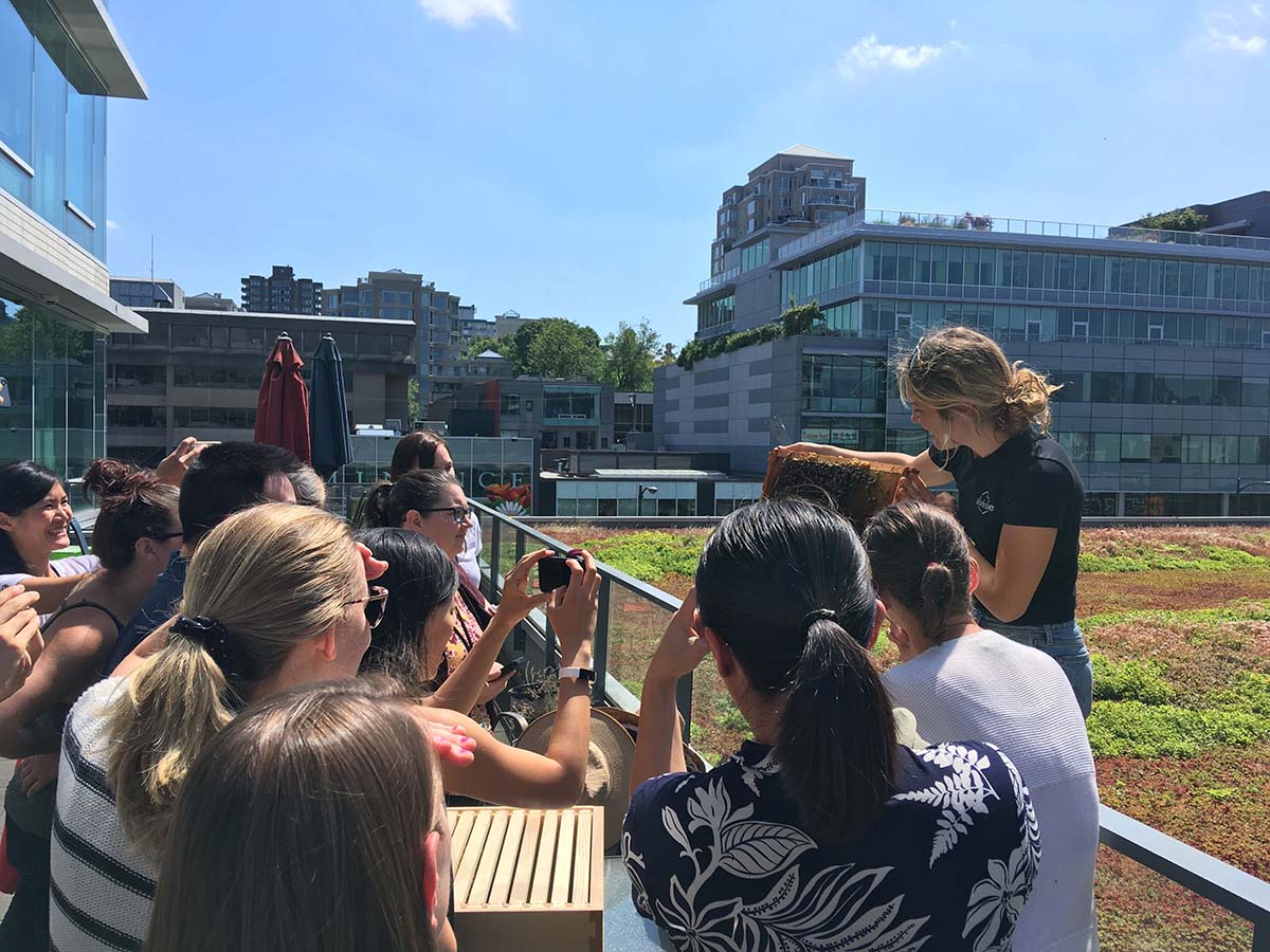An Alvéole beekeeper shows off a frame of honey bees to a client on a rooftop. building sustainability