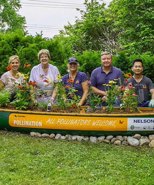 A canoe with flowers inside that serves as a pollinators haven.