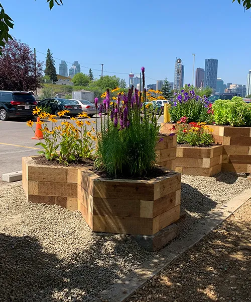 Honeycomb shaped flower bins that serve as pollinators haven with Calgary's skyline in the background.
