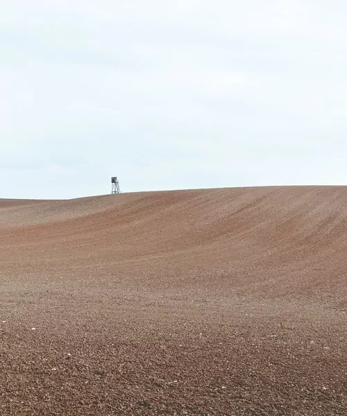 Monocultures are food deserts for bees and pollinators. la pollinisation