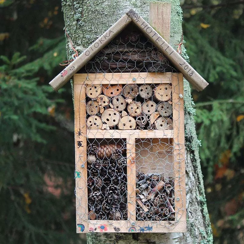 5 façons d’aider tous les pollinisateurs – pas seulement les abeilles à miel la pollinisation
