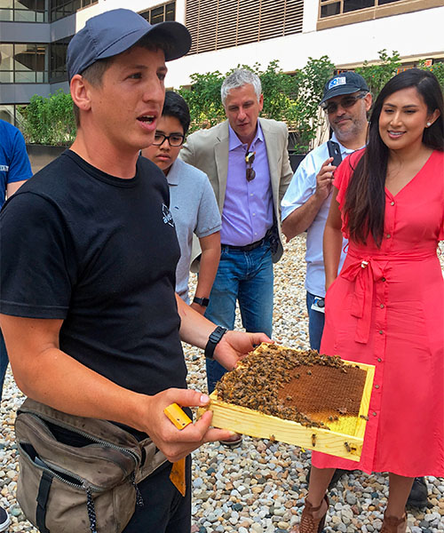A man with a honeycomb frame full of honey and bees to a group of adult during an Alvéole workshop at EQ offices. urban beekeeping engagement