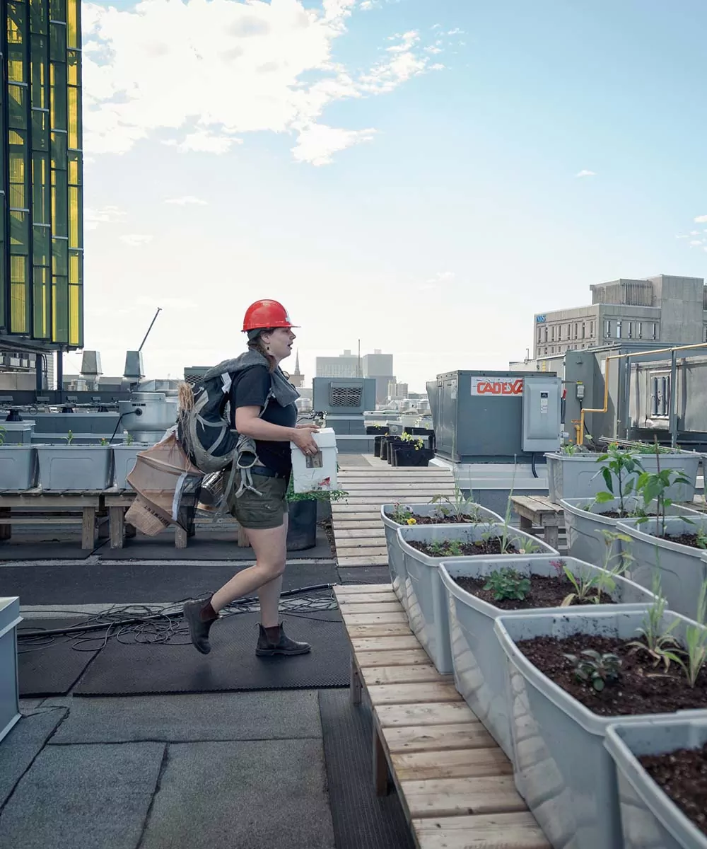 Un apiculteur travaillant sur un toit. entreprise d'apiculture urbaine